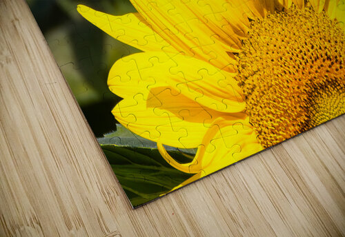 Vibrant Rick Welsh K59 Photography puzzle