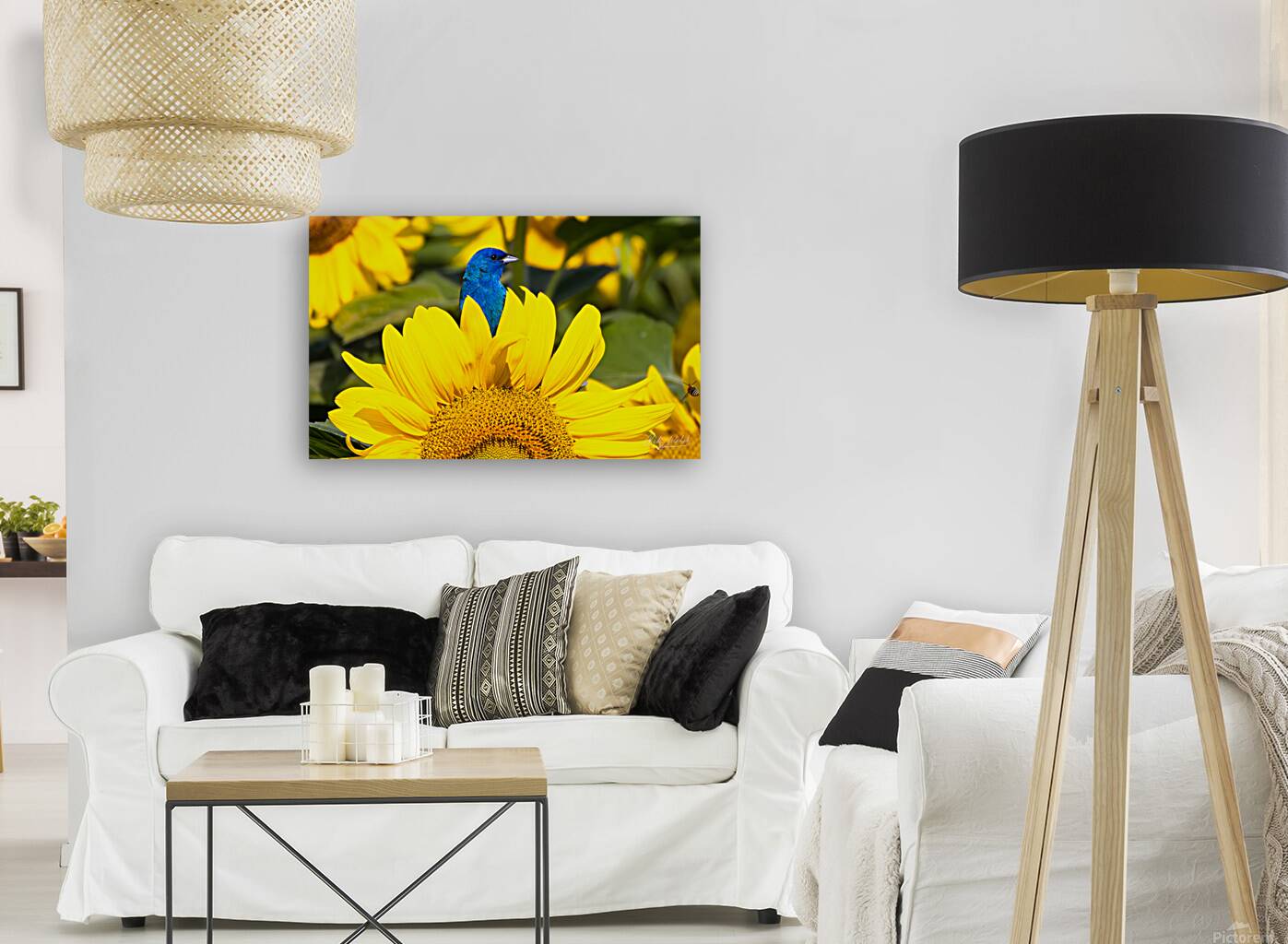 Vibrant Reproduction