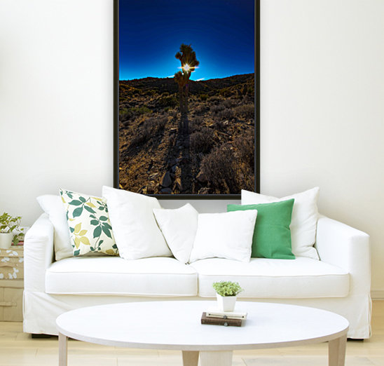 Blinded by the Light Reproduction