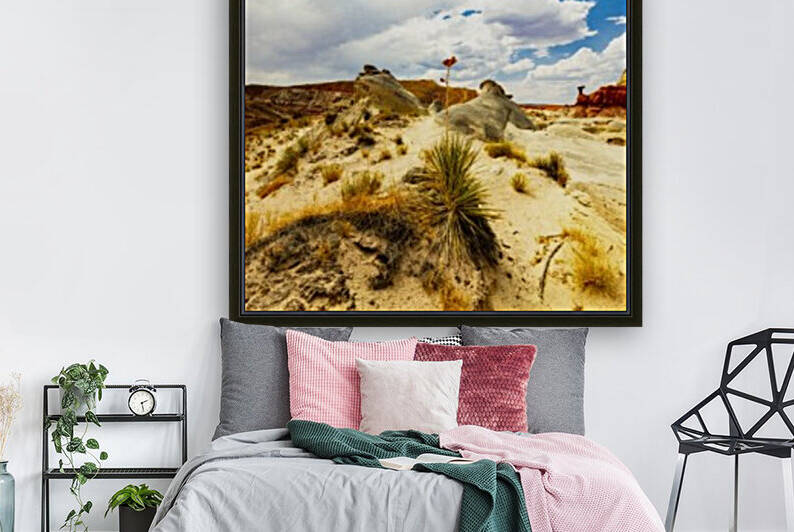 Desert Flower by Rick Welsh K59 Photography