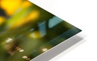 Vibrant HD Metal print