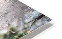 Mosschievies  HD Metal print