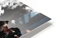 The Point  HD Metal print
