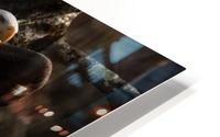 Angel HD Metal print