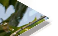 I have Arrived HD Metal print
