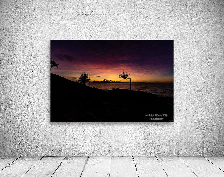 Palm Sunrise Wall Preview