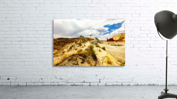 Desert Flower Wall Preview