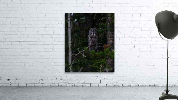 Looking Through You Wall Preview
