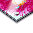 Flower Power Acrylic print