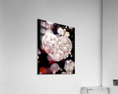 Enchanted Heart Acrylic Print