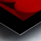 Heart Shaped Box Metal print