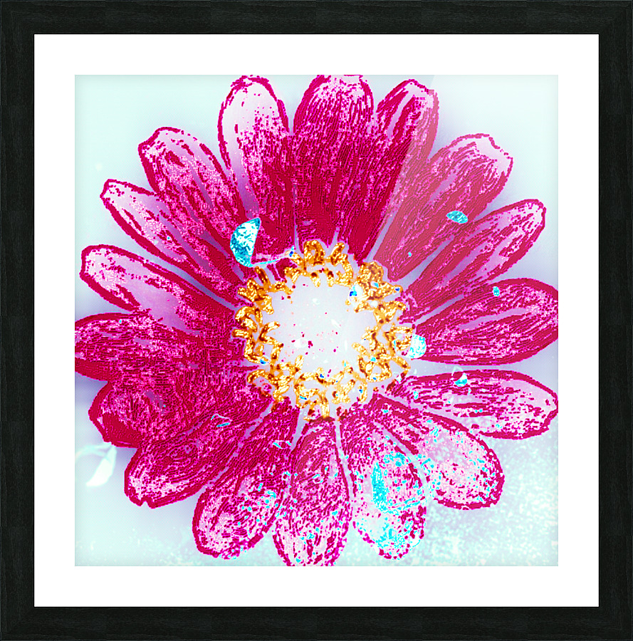 Flower Power Picture Frame Printing