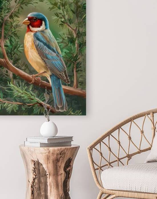 Red-breasted goldfinch on a branch of a tree by ADAYOUB89