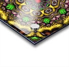 Monkey Mandala Acrylic print