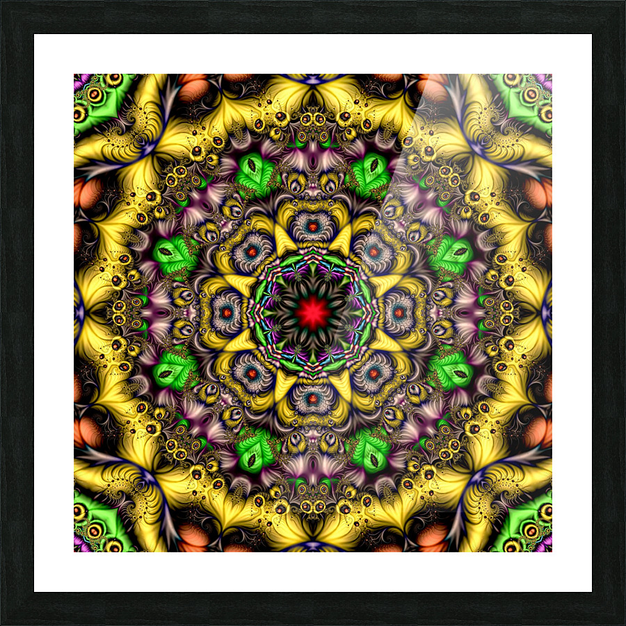 Monkey Mandala Picture Frame print