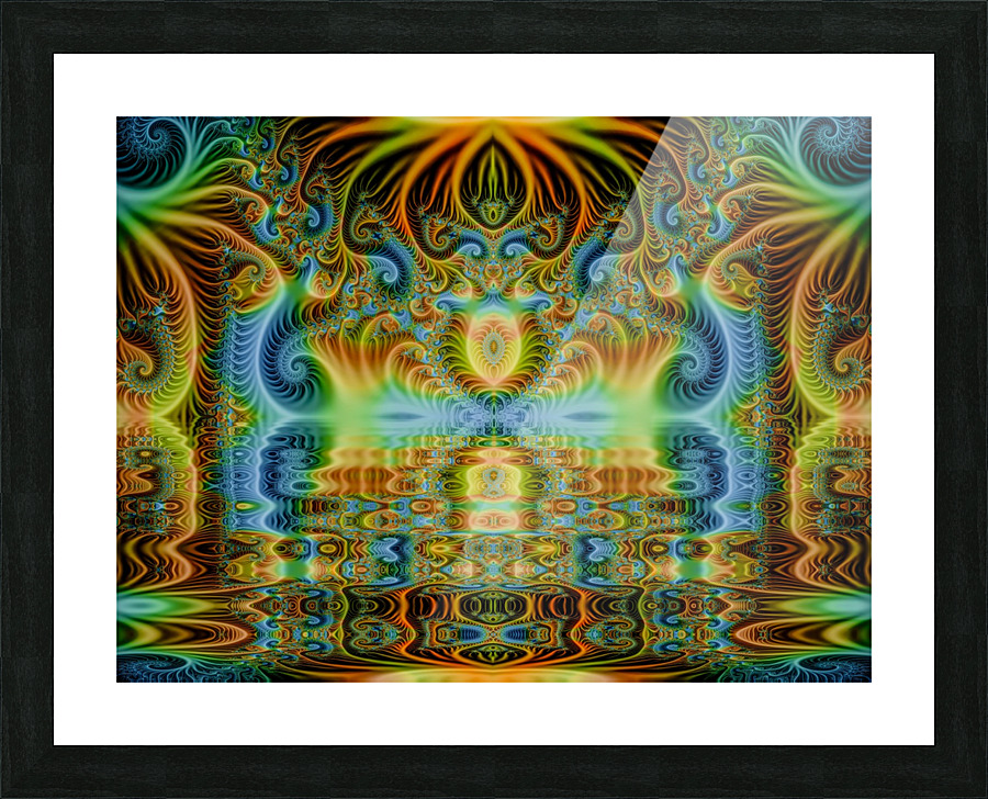 Octopi Picture Frame print