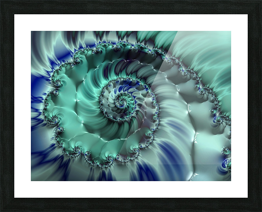 Blue Nautilus Picture Frame print