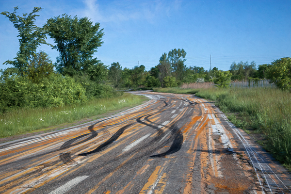 Somebody Seems Happy Téléchargement Numérique