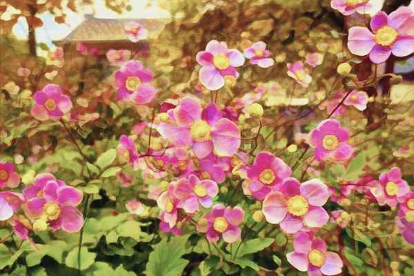 Fantastic Flowering Curb Appeal Digital Download