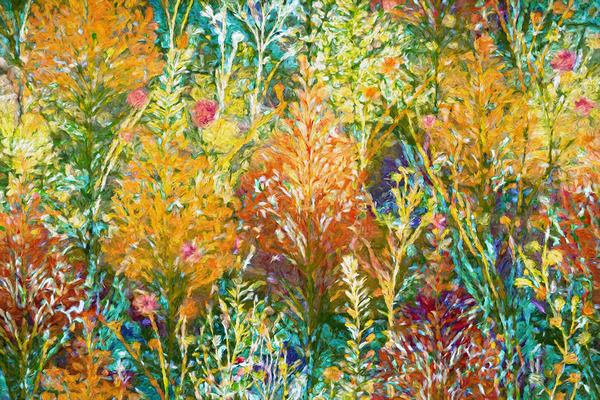 Midsummer Meadow Digital Download