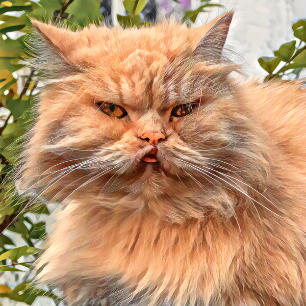 Just Look at that Face Digital Download