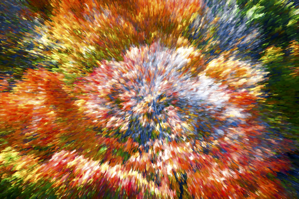 Explosion of Color Digital Download
