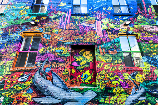 Graffiti Alley in Toronto Digital Download