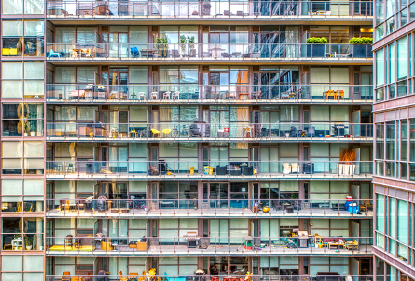 View from My Home Office Window Digital Download