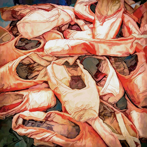 After the Ballet Performance Digital Download