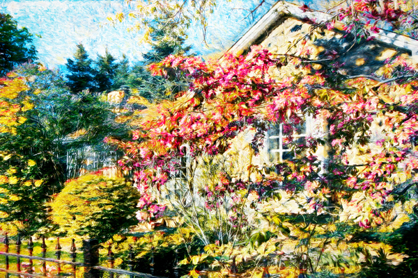 Cabbagetown House and Garden Digital Download