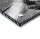 Could be Charlie Acrylic print