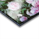 Leaside Peonies Acrylic print