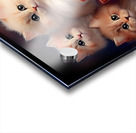 Bringing You a Special Gift Acrylic print