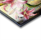 Stargazers Acrylic print