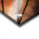 Bare Branches at Sundown Impression Acrylique