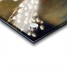 Pussywillows in a Jug Acrylic print