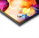 Double Rainbow Tulips Acrylic print