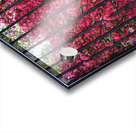 Burning Bush Behind Bars Impression Acrylique