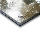 Yellow House Where Leroy Lived Acrylic print