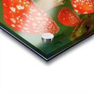Red Spotted Toadstools Acrylic print
