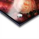 Peony Passion Acrylic print