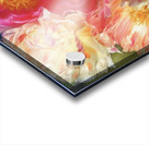 Never Enough Acrylic print