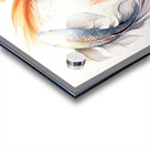 Koi Merry-Go-Round Acrylic print
