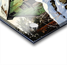 Looks Abandoned  Acrylic print