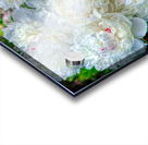 Group of White Peonies Acrylic print