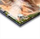 Just Look at that Face Acrylic print