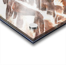 Mountain Range Acrylic print