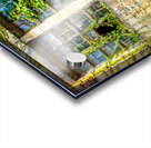 Broken Promises Acrylic print