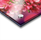 Pink Cherry Blossoms Acrylic print
