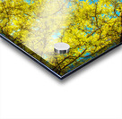 Love that Spring Green  Acrylic print